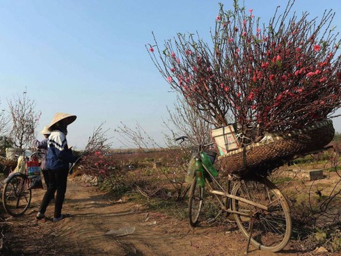 Không khí đón Tết Việt trên báo nước ngoài - ảnh 9